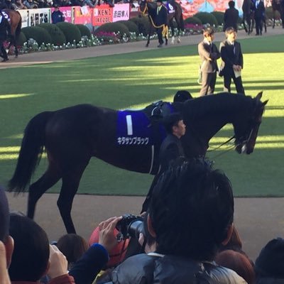 サイン派競馬ブロガーの鳩胸男です。人気ブログランキング部門１位あり。最強競馬ブログランキング部門１位あり。【note】https://t.co/XRaGWNLTfu【LINE公式アカウント】https://t.co/iDeQXw7P0b