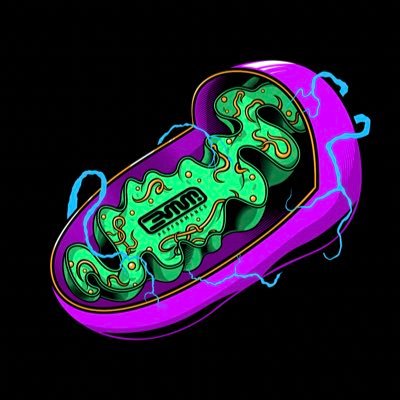 BMMitochondrial_Performance Profile