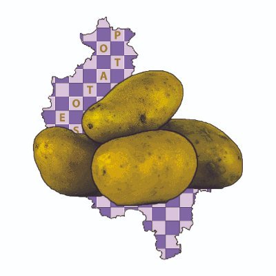 Official account of the Poznan Potatoes Pro Chess League team!