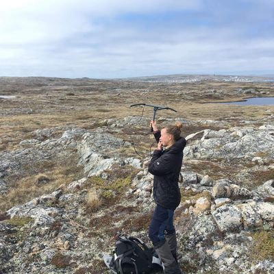 MSc student at @wildlifeevoeco studying caribou ecology, linear features effects and fitness consequences 🦌