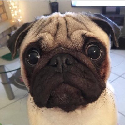 Melojs99's profile picture. 