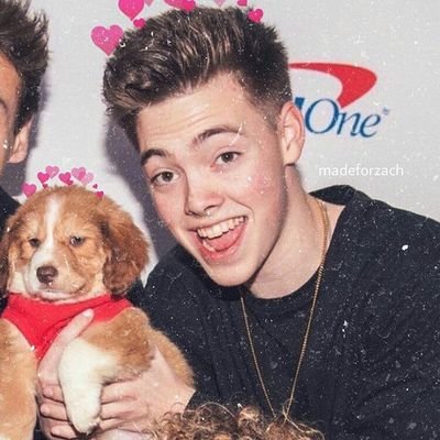 ❧ joining two cute things in one place: zack and dogs