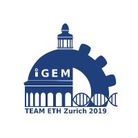 iGEM ETH Zürich (@eth_igem) 's Twitter Profile
