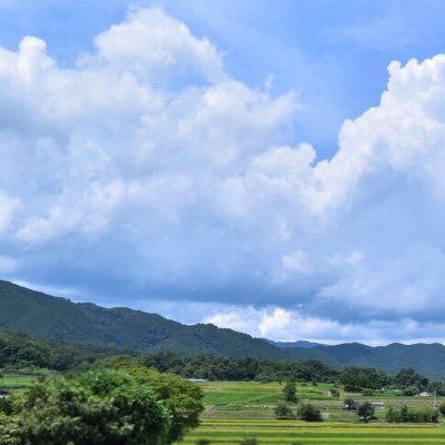 市井の個人に何ができるか？希望をもつことができる日本にするには、微力ながらやれることをするしかない。政治的発言そこそこ。いいね👍は忘備録的にも使います