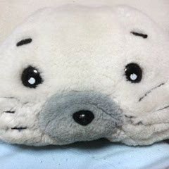 紅さんのプロフィール画像