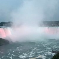 Don McNaughton (@donaldmcnaught4) 's Twitter Profile