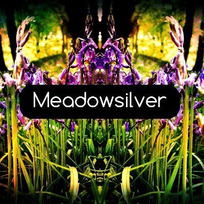 Electric psych folksters comprising Gayle Brogan
@featheredgothic (Pefkin), Grey Malkin (Widow's Weeds) & Stephen Stannard (@RowanAmberMill). Tweets by Stephen