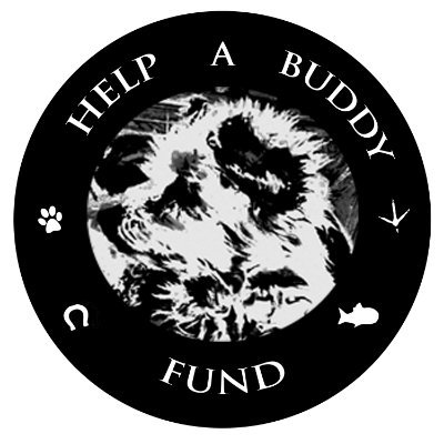 Raising awareness & funds for animal welfare  groups in Alberta

https://t.co/PrXdTLKTlU