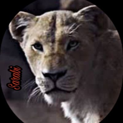 { Queen of Pridelands}{Mother of Simba & Aurora} {Her King :@LionKingMufasa_ } {Lioness}{RP}{18+}{MC}{#Prime }'You never be king ,I never rule with you , Scar '