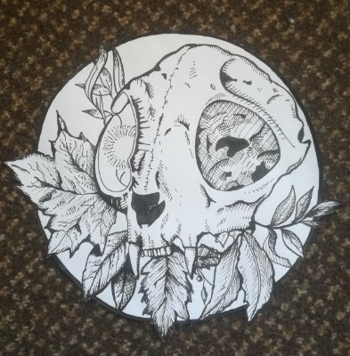 SViolince's profile picture. 