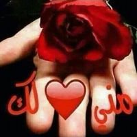 حسام حسن (@znlmq3zt9irnwft) Twitter profile photo