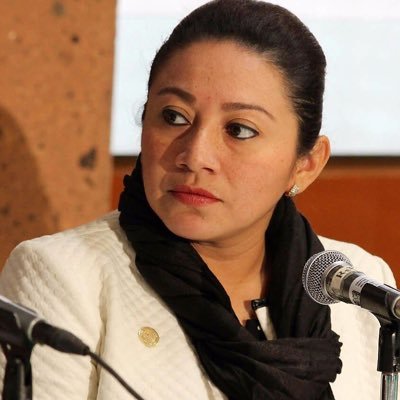 Cuenta de medios de la Diputada Federal de Quintana Roo por la Tercera Circunscripción y Secretaria de la Mesa Directiva de la H. Cámara de Diputados.