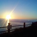 Seung Hee Cha - @olive299 - Twitter