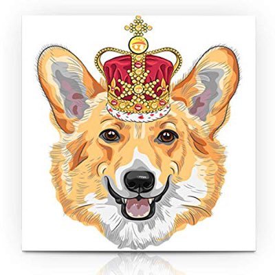 MyRoyalLife100's profile picture. Chocoholic, unapologetic liberal,🌊, #BLM, proud U.S. Midwesterner 🇺🇸, reader, royal watcher 👑, Anglophile 🇬🇧🏴󠁧󠁢󠁳󠁣󠁴󠁿