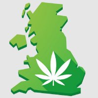 Compare CBD (@comparecbduk) 's Twitter Profile