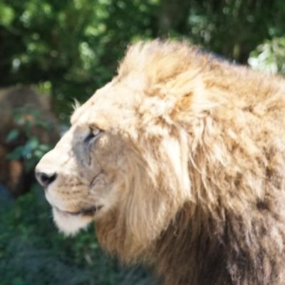 本名がペンネーム感
馬に乗るサックス吹き
秋田,北海道,大阪,東京,岩手,宮城,埼玉,新潟,石川,福井,愛知は行く予定
サカナクション,BUMP OF CHICKEN,米津さん,King Gnu,MAN WITH A MISSIONの流れ