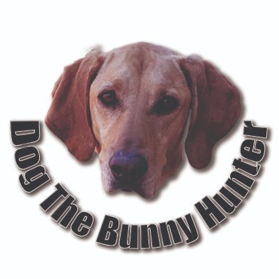 4K Dog Video Walks, Funny Weekly Dog the Bunny Hunter Video Uploads, Weekly Live Streaming on YouTube channel, Live 24/7 Dog Camera