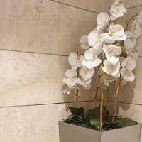 fto0om08 (@fto0om08) 's Twitter Profile