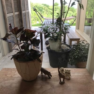 yukam_rice's profile picture. 今この時に出会えたことが幸せ❤️🤍推しの笑顔と存在＆推しきっかけで広がる繋がりに感謝(ㅅ´꒳` )♡