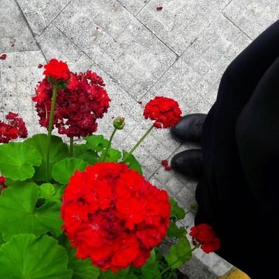 Atena_313's profile picture. ‏خاله همه بڄه های ریزه میزه، عاشق یه دونه دخترِ مامان که نبضِ زندگیِ...!