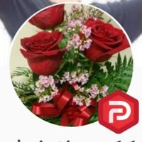 Christine Null (@nullchristine) 's Twitter Profile
