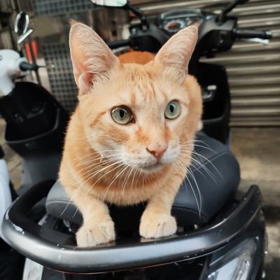 leo231003's profile picture. 