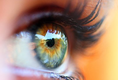 EyeProsth's profile picture. Natural motility for your artificial eye.