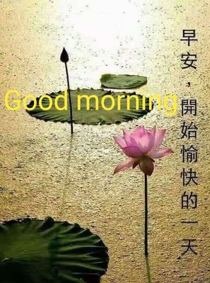 pik_mau's profile picture. 