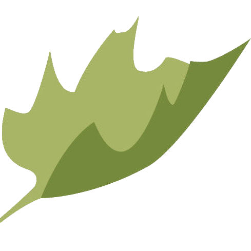 countryhide's profile picture. Small family business offering beautiful selfcatering cottages in the #YorkshireDales. Here to help you find that perfect holiday on 01969 663559 or book online