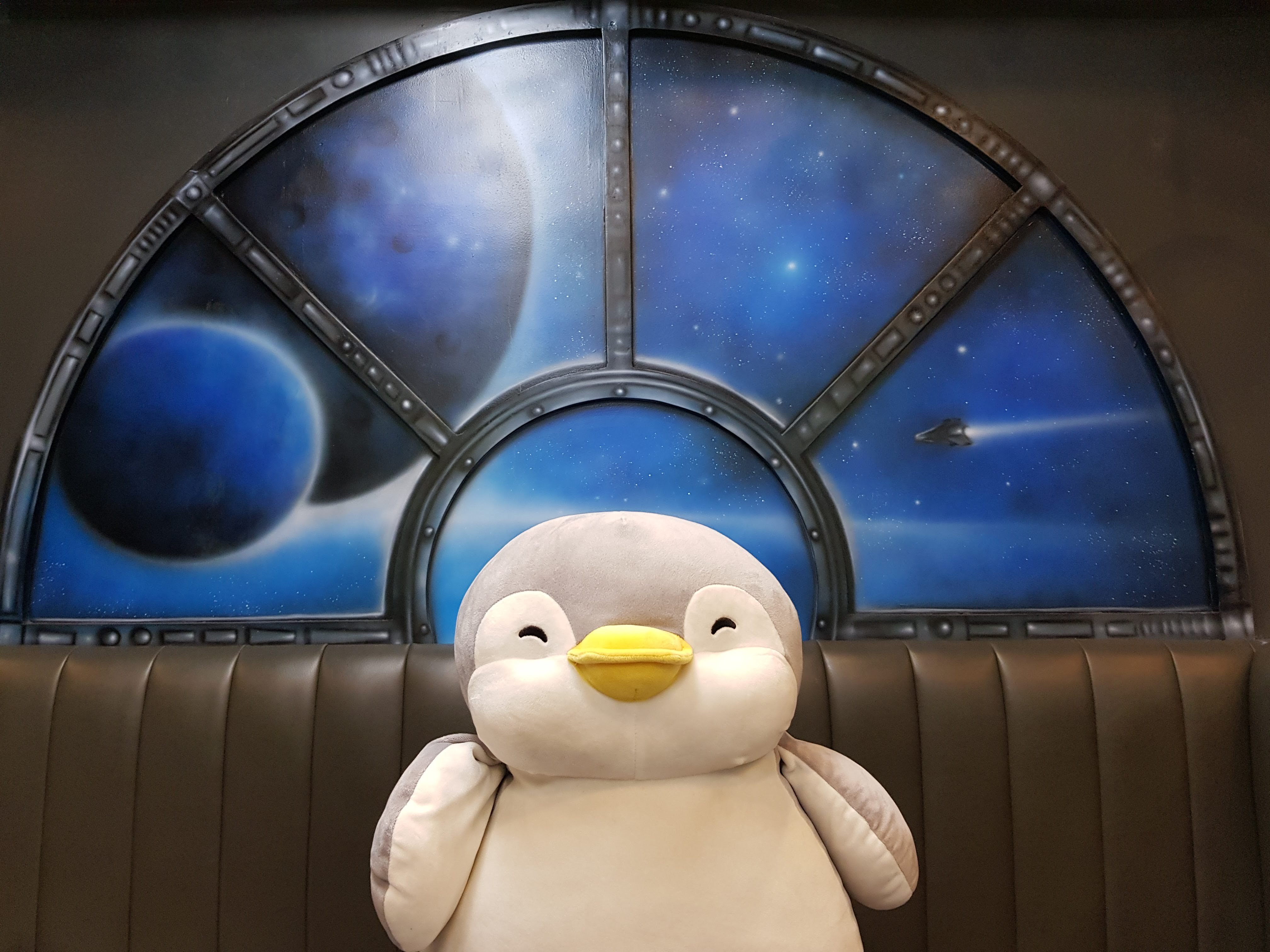 @ChubbyPingu