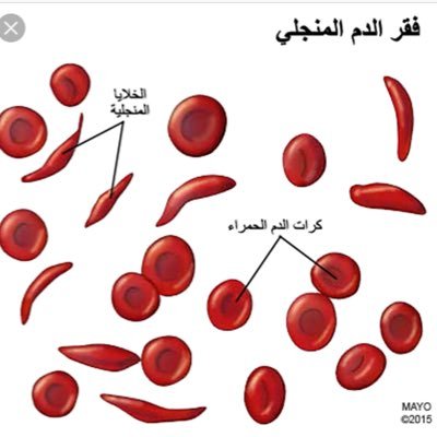 #الانيميا_ألمُ_أملَ أقوياء بالله .. الحساب بإدارة @Kuw1099 @geologyteacher