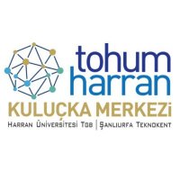 Tohum Harran (@tohumharran) Twitter profile photo