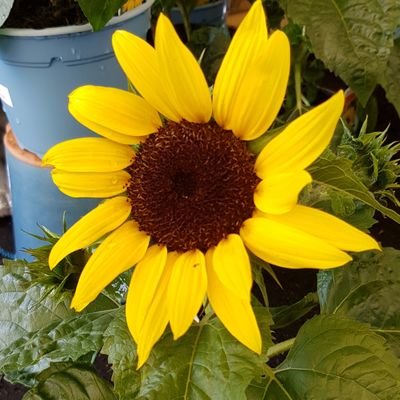 mrshlbennett's profile picture. 