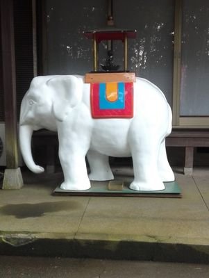 PQodkwYU1lGFtCh's profile picture. 夜の三浦半島でクロダイやメジナを狙っています。
実際はゴンズイやフグをその数十倍も釣ってますが‼