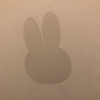 一匹オオカミちん (@tanuko_chibi) 's Twitter Profile