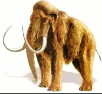 Mammuth33's profile picture. Medelålders aktie nörd. Spenderar alldeles för många timmar framför skärm. Inte bäst på något men hygglig på allt :)
Inget jag skriver bör ses som köp råd.