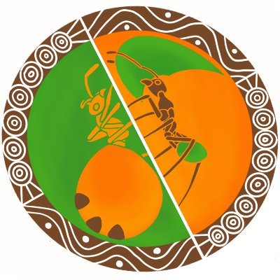Representing Aboriginal and Torres Strait Islander lawyers and law students of the Northern Territory.