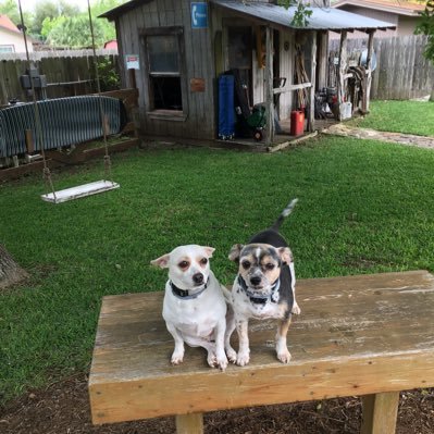 essler_l's profile picture. 