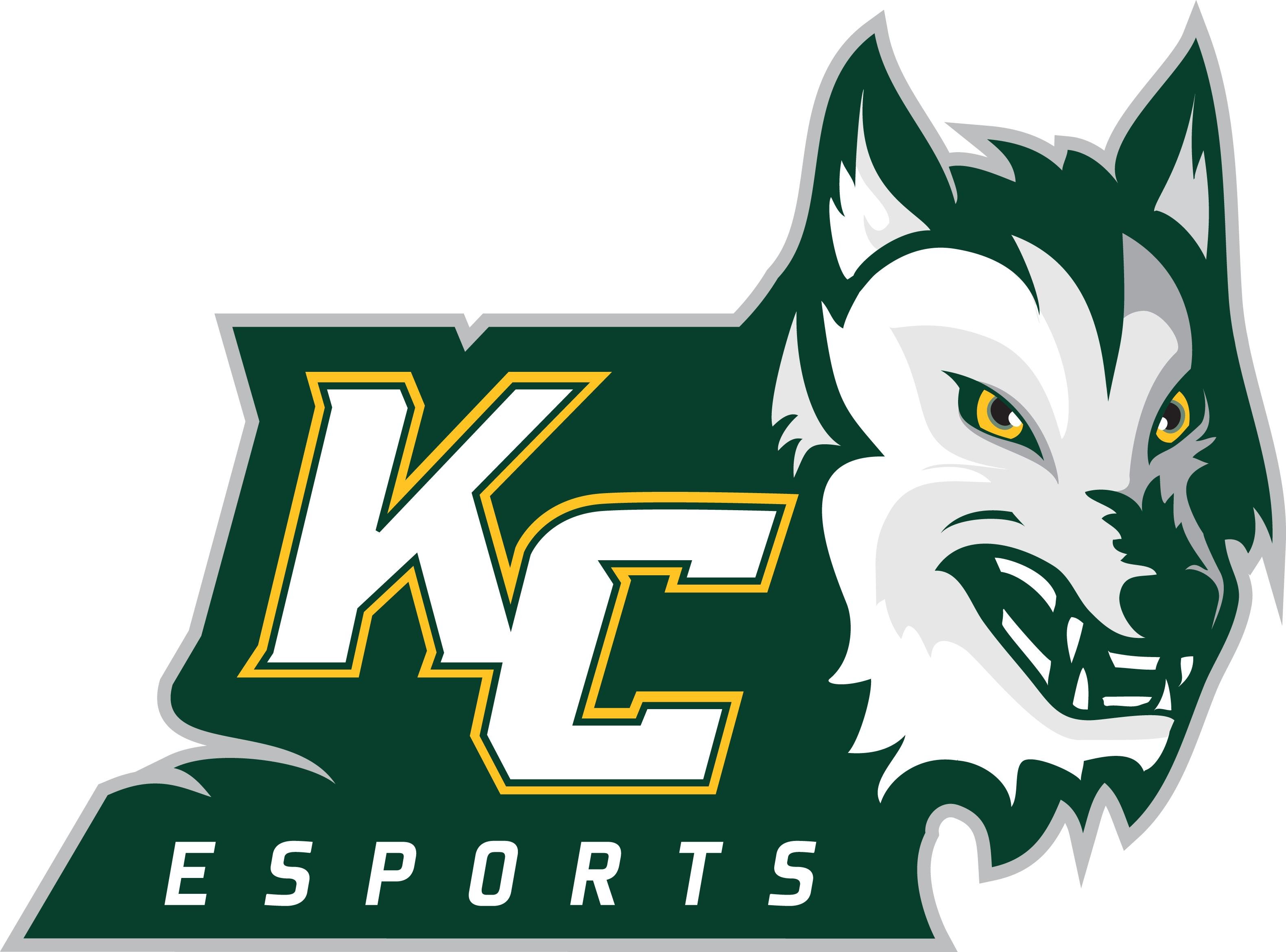 Keuka College ESports