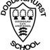 Doddinghurst CofE Junior School (@doddinghurstju1) Twitter profile photo Doddinghurst CofE Junior School (@doddinghurstju1) Twitter profile photo