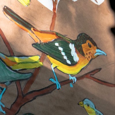 KanawhaForest's profile picture. The Kanawha Forest Coalition was formed to halt the invasive spread of Mountaintop Removal strip mining near Kanawha State Forest and throughout Appalachia.