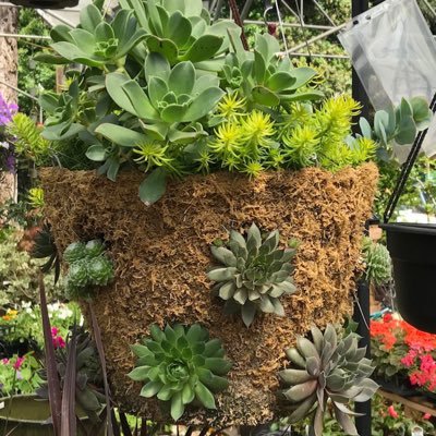 Austin19Stella's profile picture. News