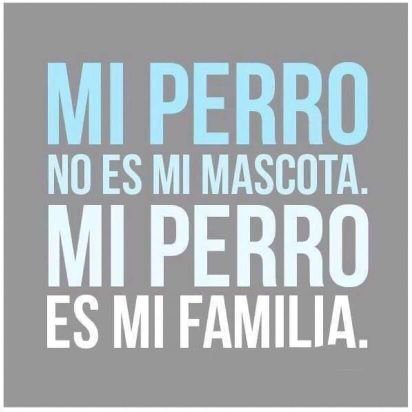 LIBRIANA,AMO A LOS ANIMALES #SolGigiAbel MIS BBS..DE SOLO VIVIR SE TRATA MI VIDA A.P ❤