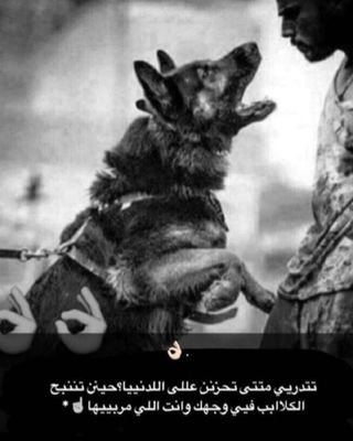 kfPziSL2GOgU03A's profile picture. مغتصب ديوث