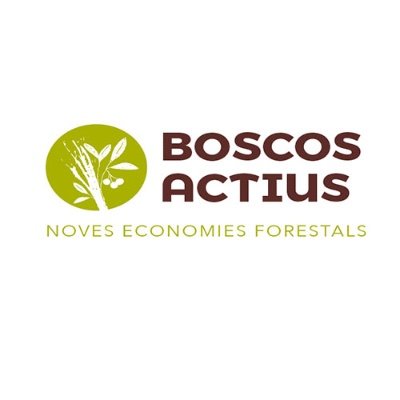 Boscos Actius és un projecte que neix del bosc i que pretén crear noves oportunitats per a les persones a través de la cura dels boscos.