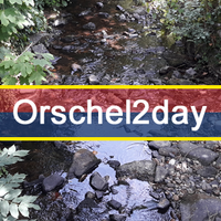 Orschel2day(@orschel2day) 's Twitter Profile Photo