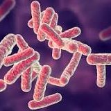 Cough, Cough! Let's talk about Pseudomonas. I was pretty healthy, but now battling 3 years of Pseudomonas Coughing, and other bothersome symptoms. YUCK