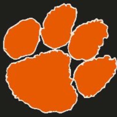 SHTIGERS413 Profile Picture