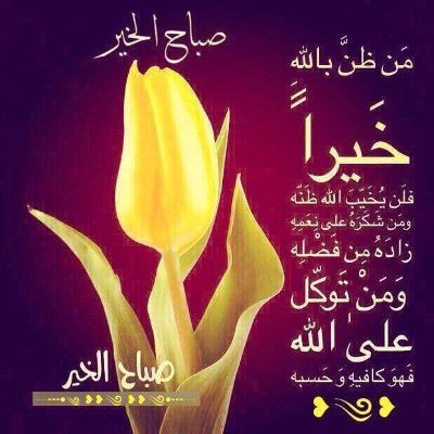 khznWcocJm9QOmz's profile picture. 