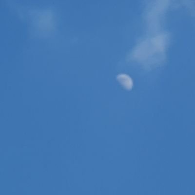 zmcmlimit's profile picture. 